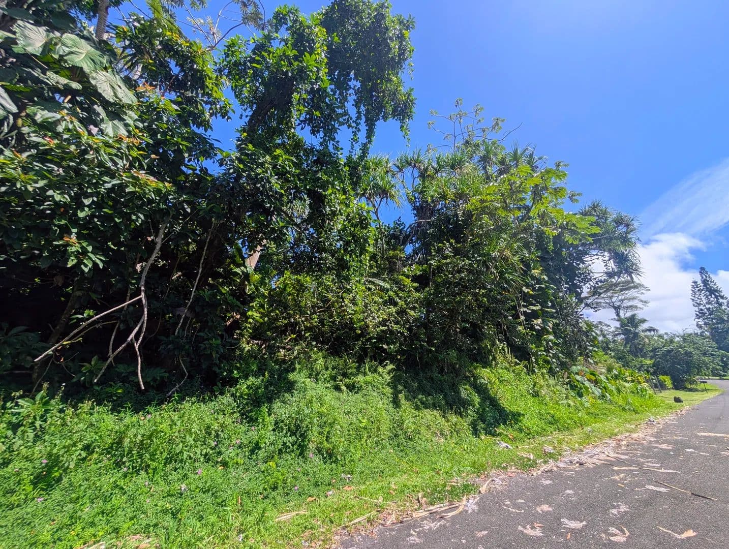 Vacant Land in Pahoa - Pahoa, Hawaii, 96778