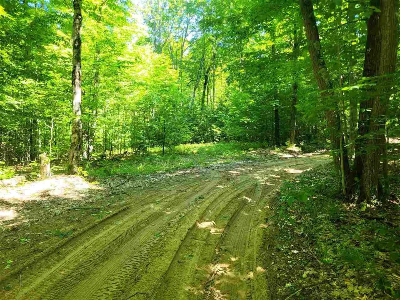 5 Acres of Land for Sale in Bellaire, MI - Bellaire, Michigan, 49659