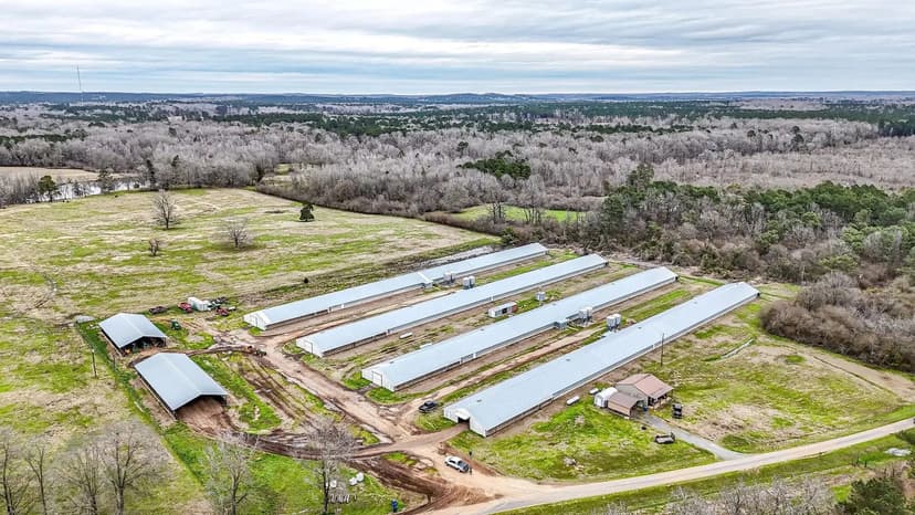 Bienville Broiler Farm