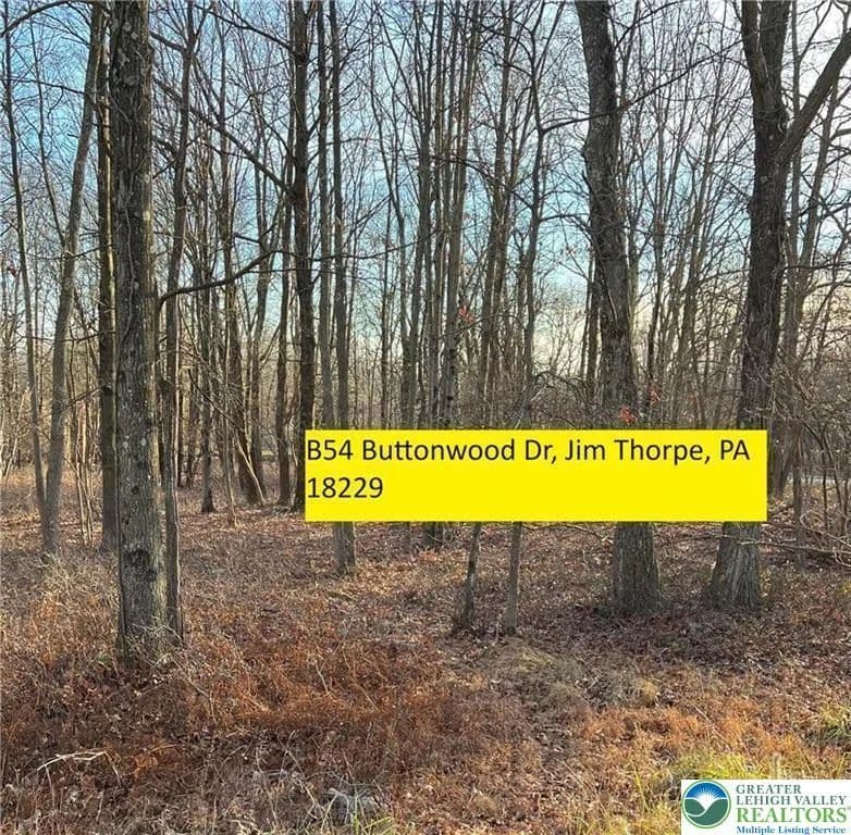 0.5 Acres of Land for Sale in Carbon County, Pennsylvania - Pennsylvania, 18229