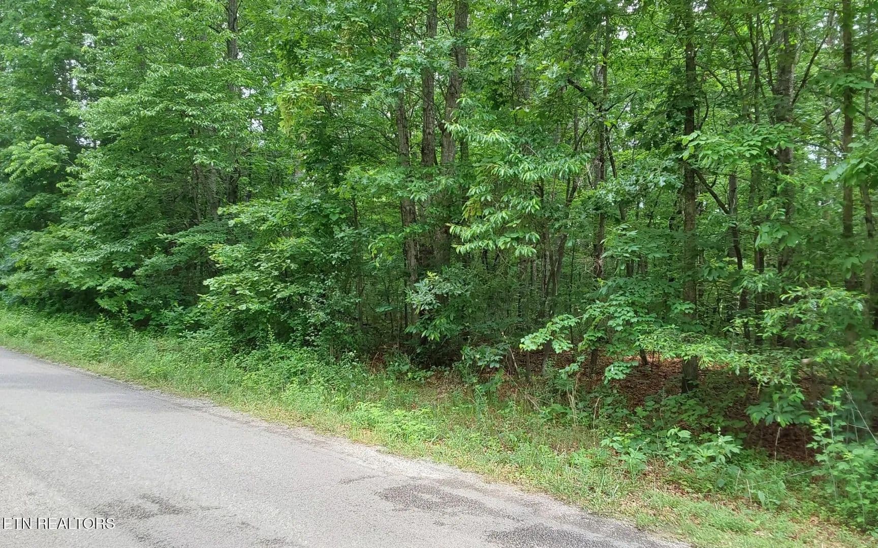 Property from 00 Gray Fox Drive - KW - Crossville, Tennessee, 38555