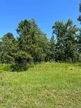 Property from 28 Autumn Ct - KW - Dover, Arkansas, 72837