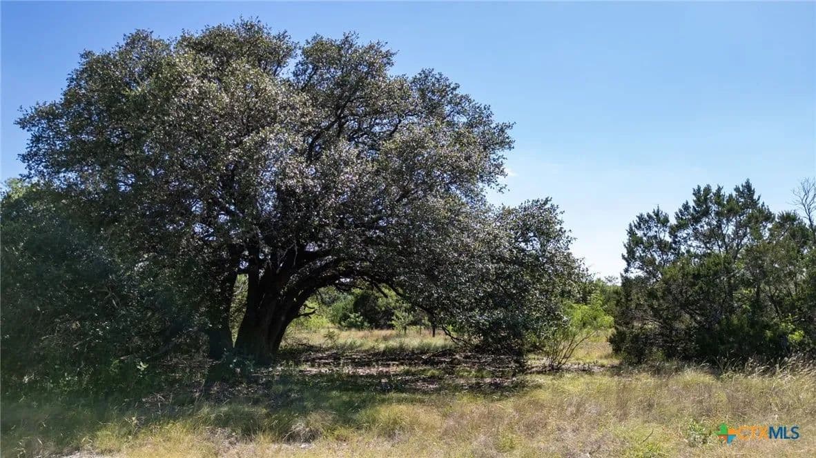 11.01 Acres of Land for Sale in Evant, TX - Evant, Texas, 76525