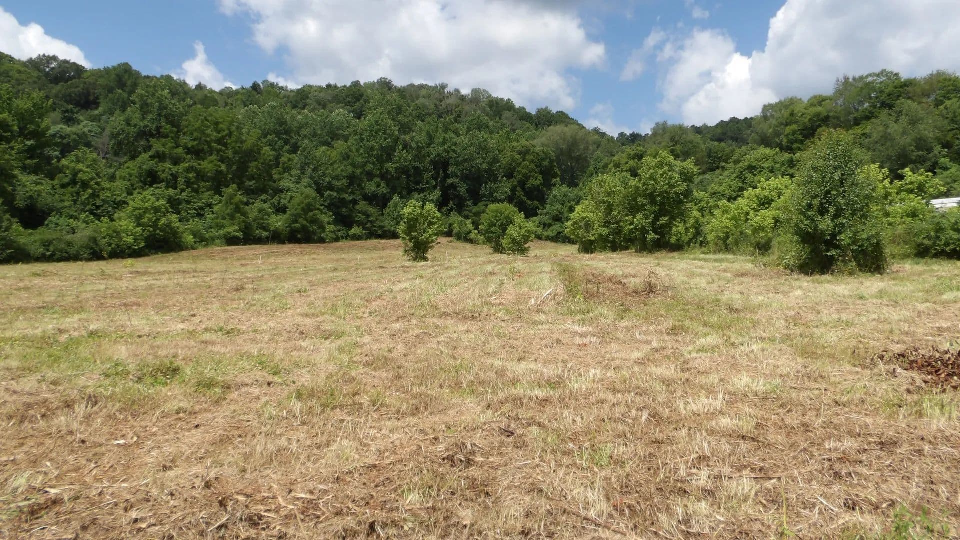 Property from 0 Lonnie Reecer Rd - KW - Celina, Tennessee, 38551
