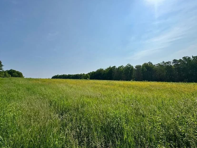 Lots & Land-Other in Hawley