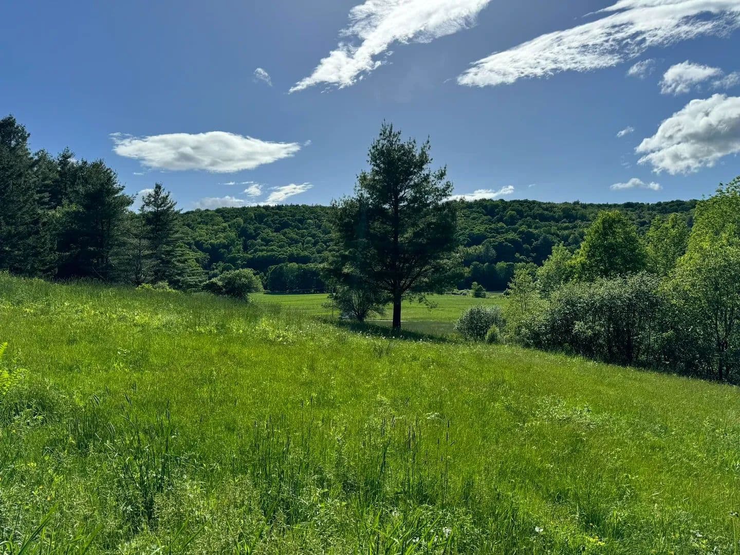 5 Acres of Land for Sale in Wilmington, VT - land for sale