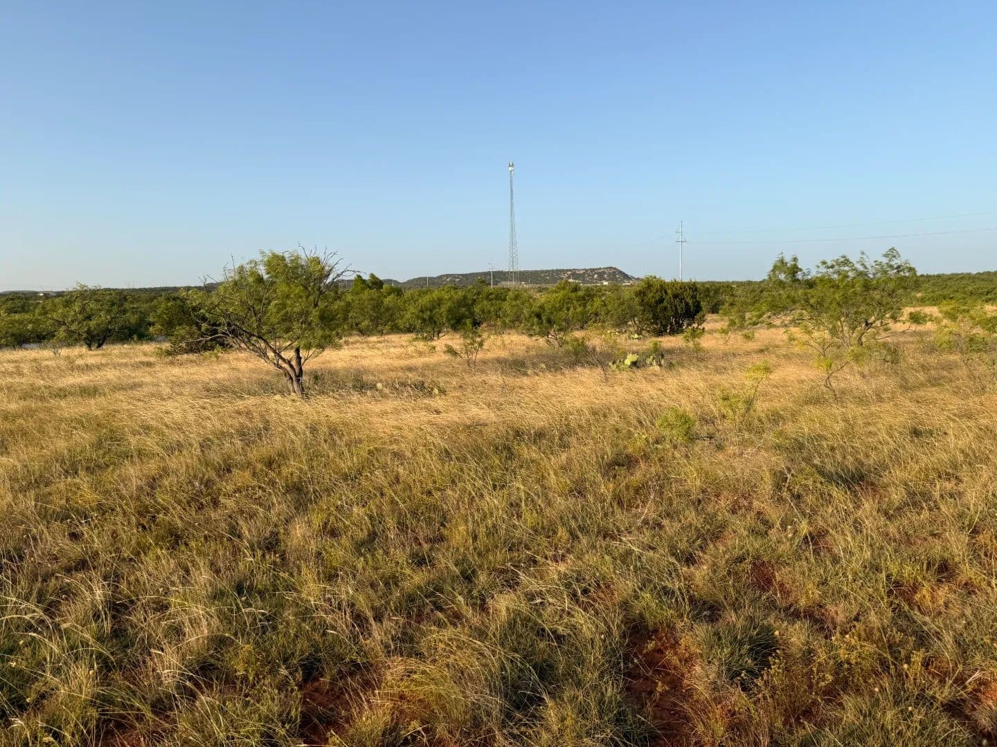 New Listing!!! 14+/- Ac (Tr 4), Taylor Co - Ovalo, Texas, 79541
