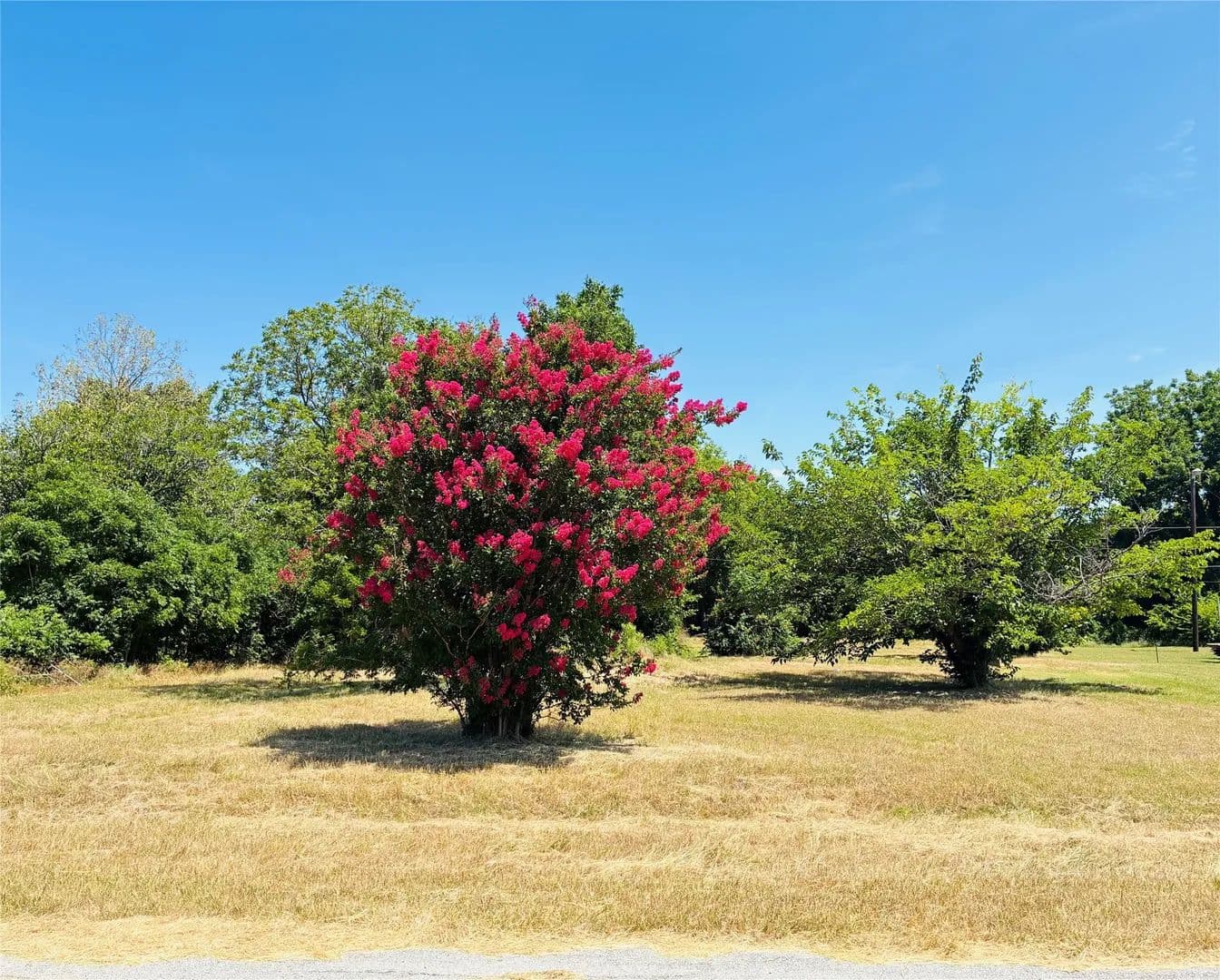Vacant Land in Grand Prairie - Grand Prairie, Texas, 75054