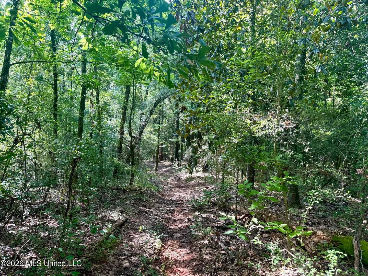 19 Acres of Land for Sale in Raleigh, MS - Raleigh, Mississippi, 39153