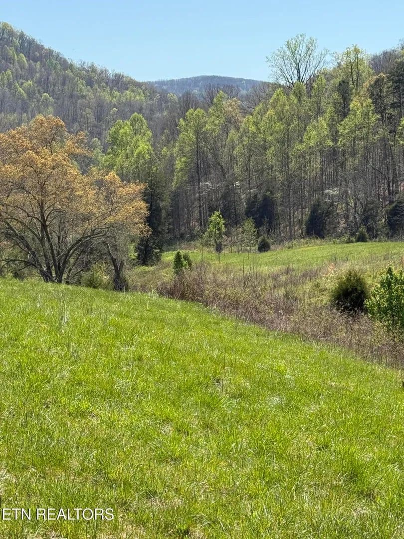 Property from 0000 Goshen Valley (64 acres) Rd - KW - Church Hill, Tennessee, 37642