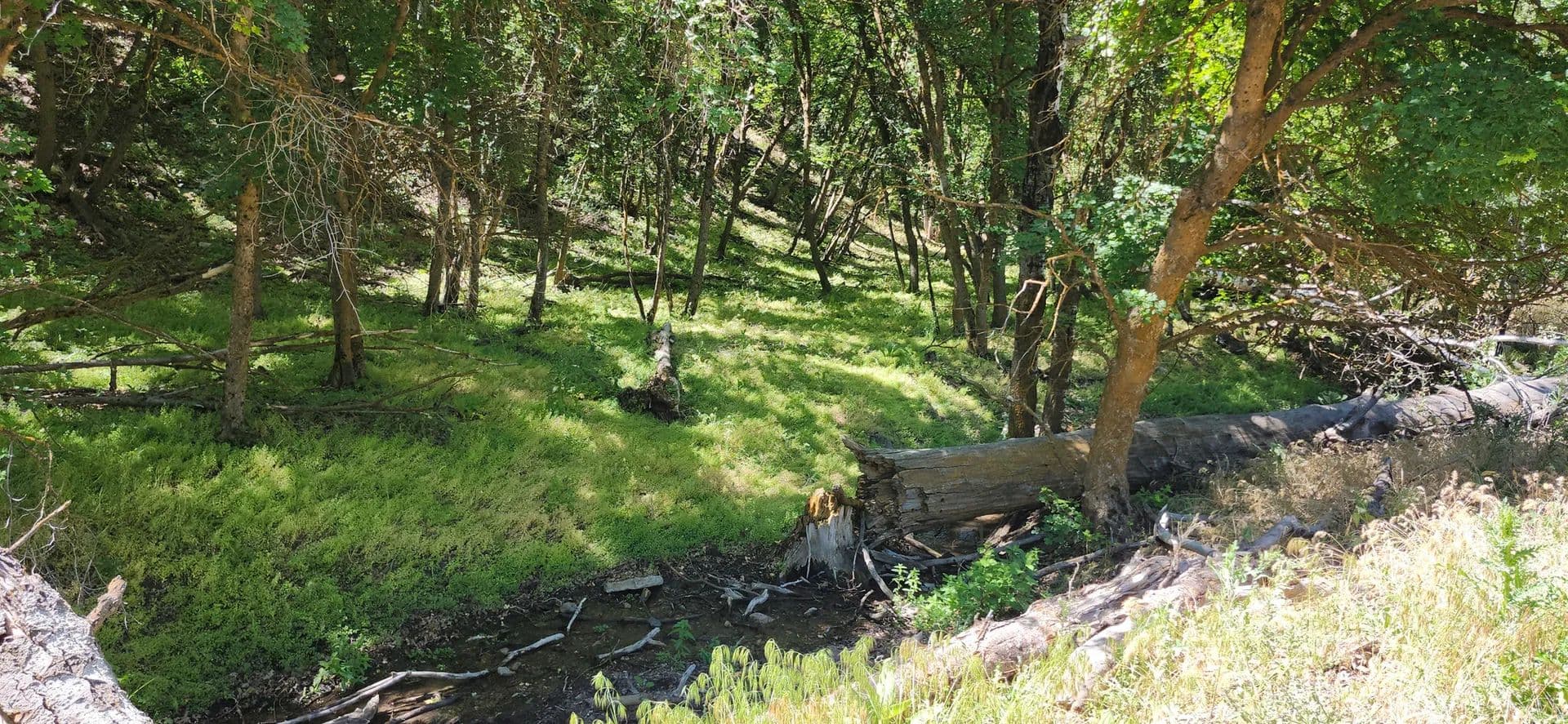 19.86 Acres of Land for Sale in Morgan, UT - Morgan, Utah, 84050