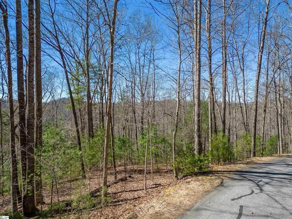Vacant Land in Hendersonville - Hendersonville, North Carolina, 28792
