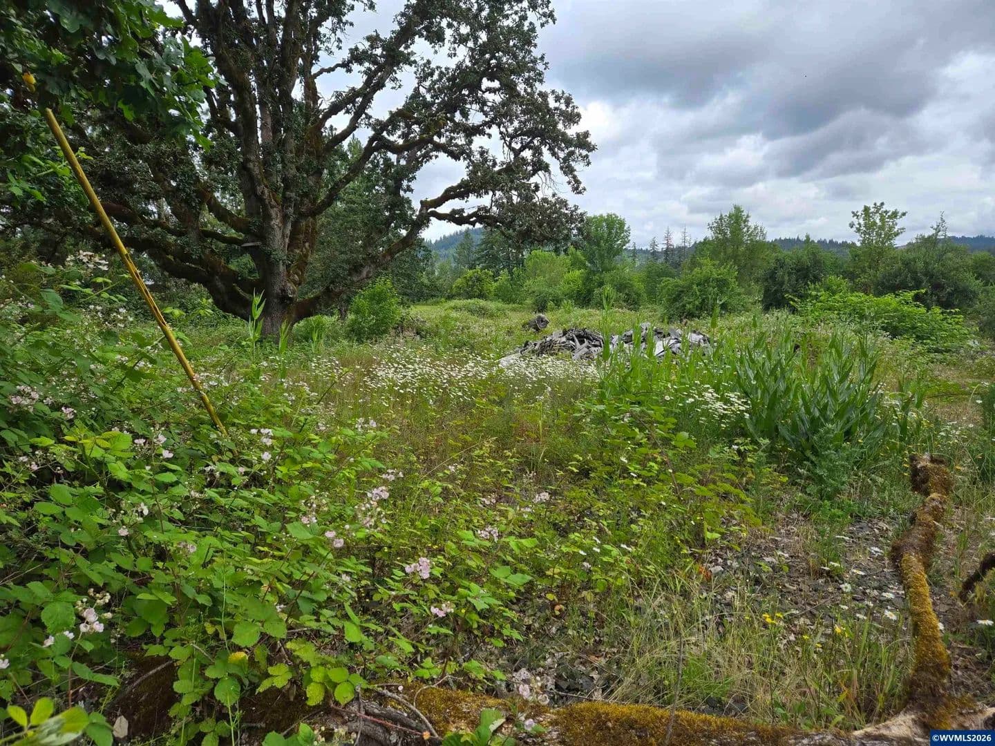 Property from TL 2801 2802 Cascade Dr - KW - Lebanon, Oregon, 97355