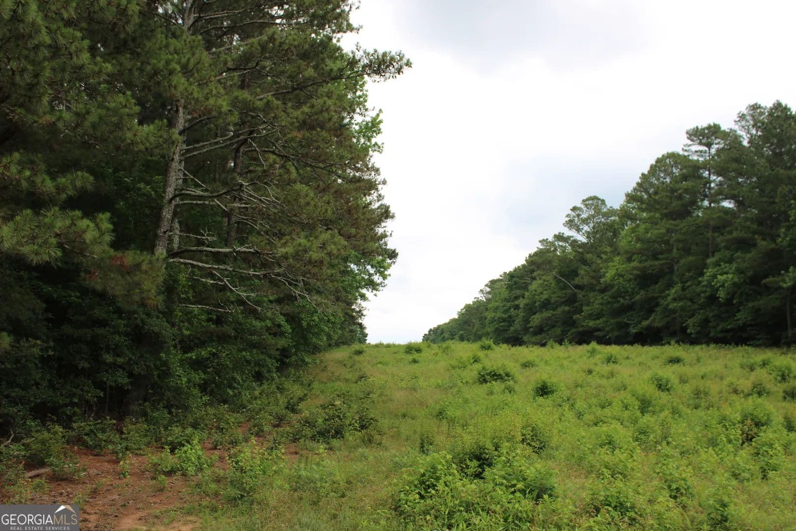 16 Acres of Land for Sale in Hull, Georgia - Hull, Georgia, 30646