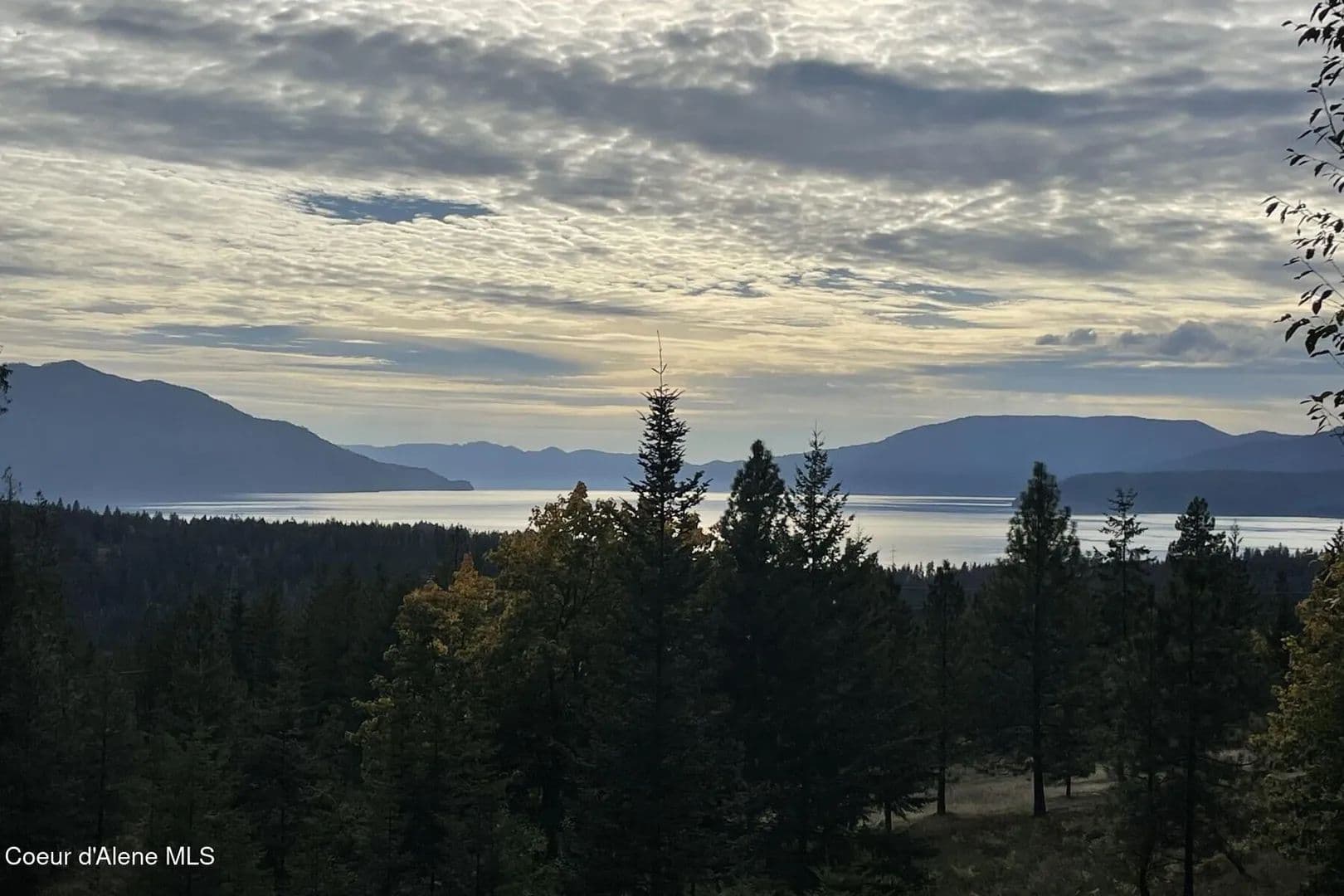 5 Acres of Land for Sale in Hope, ID - Hope, Idaho, 83836