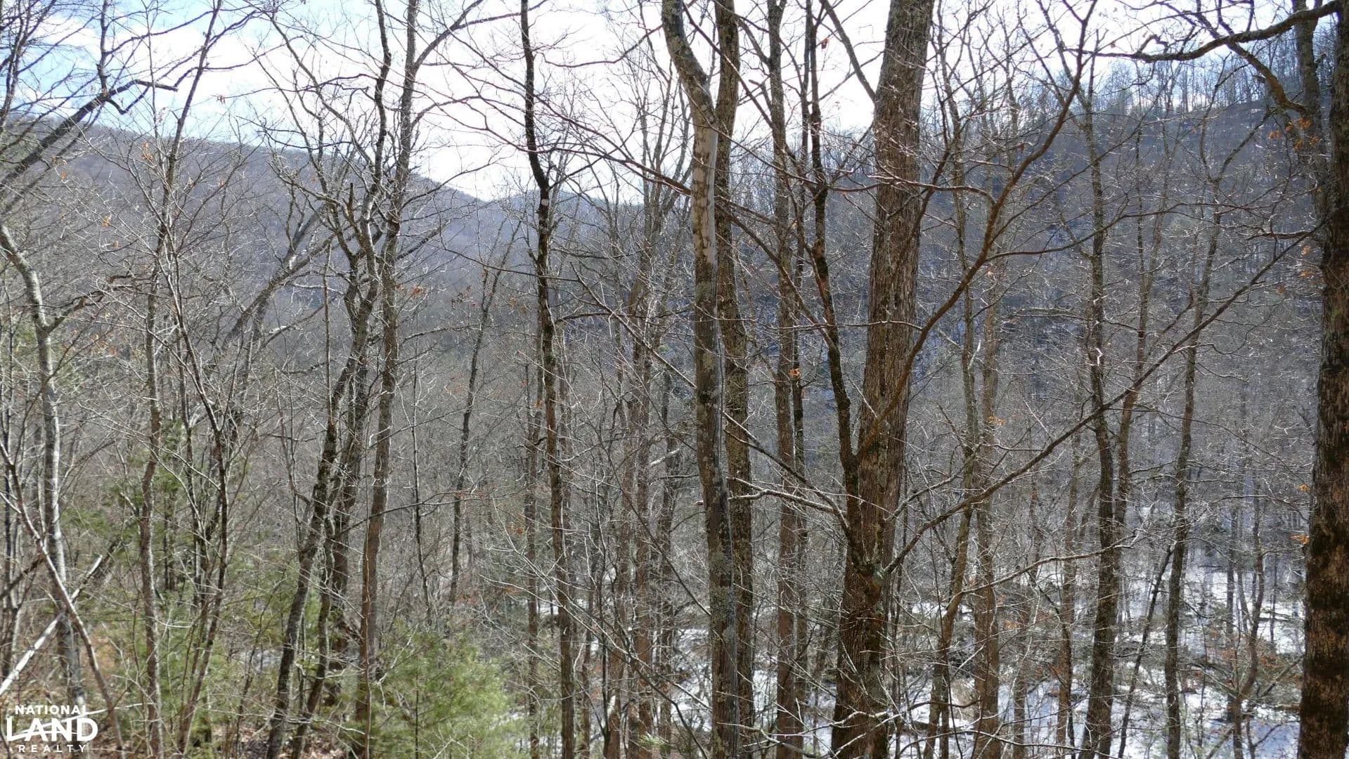 Secluded 10 Acre Cabin Site- Lot 2 - Monterey, Virginia, 24465