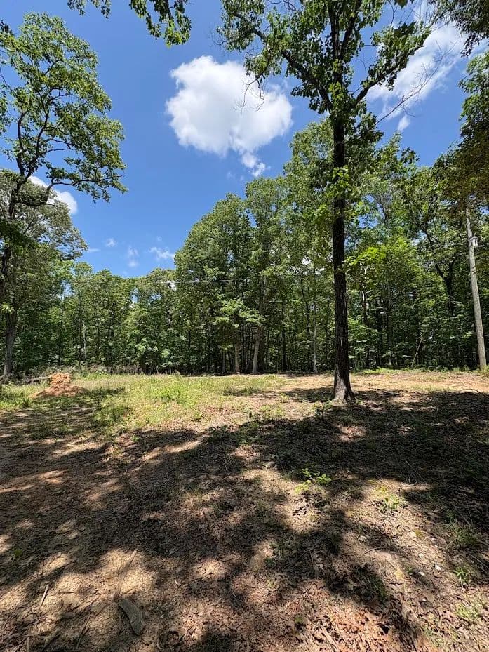 Land -Agricultural (Not Zoned) in Tallapoosa - Tallapoosa, Georgia, 30176
