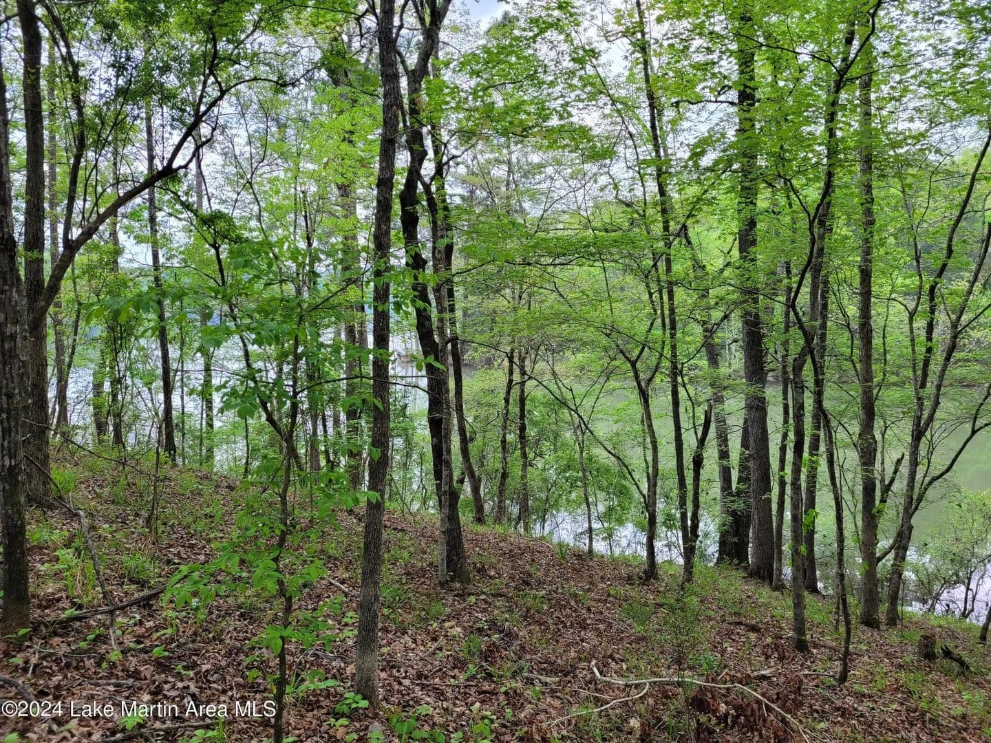 Property from Lot 6 Hideaway Ln - KW - Tallassee, Alabama, 36078