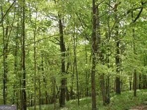 Property from 141 Fort Wayne Court - KW - Waleska, Georgia, 30183