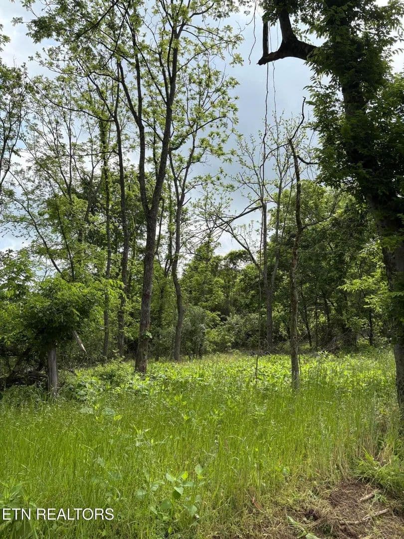 Property from 0 Grubb Rd - KW - Lenoir City, Tennessee, 37771