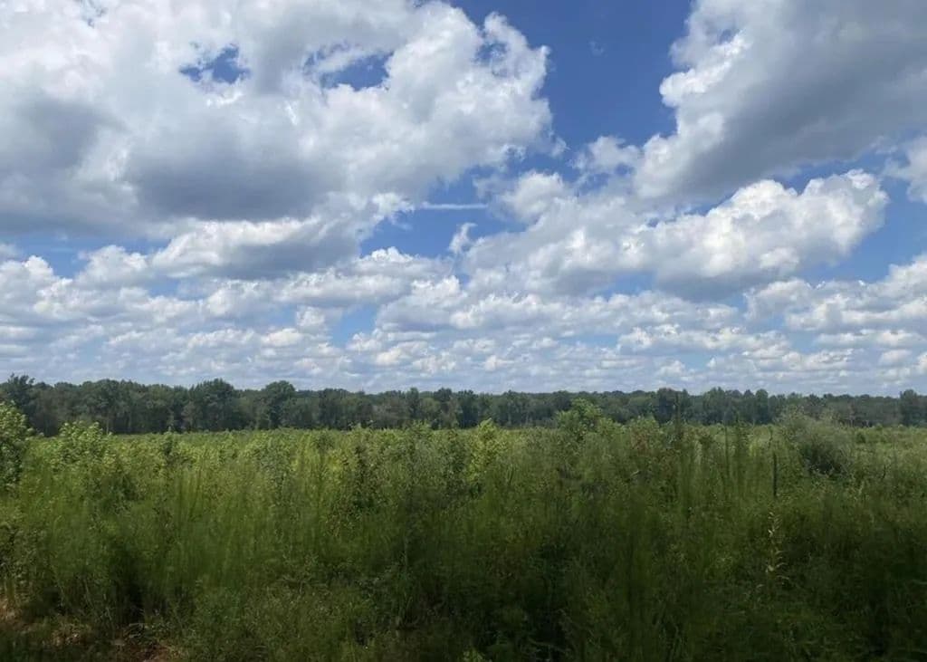 10 Acres of Land for Sale in Troy, SC - Troy, South Carolina, 29848