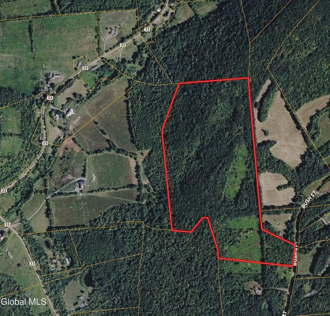 Property from L16 Bush Street - KW - Seward, New York, 12043