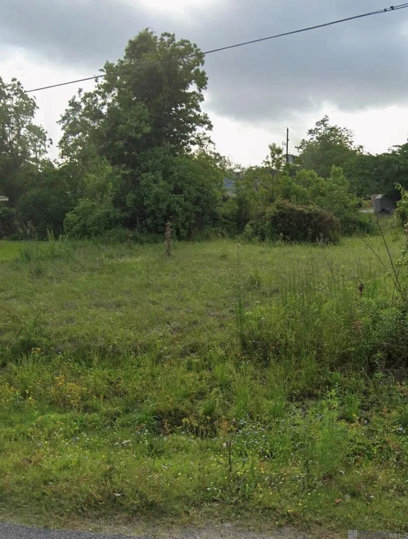 Property from Lot 20-B Ridgewood Ave - KW - Prairieville, Louisiana, 70769