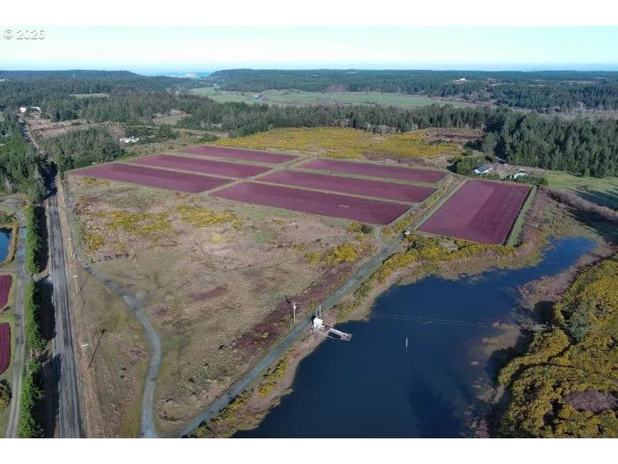 93 Acres of Land for Sale in Port Orford, OR - Port Orford, Oregon, 97465