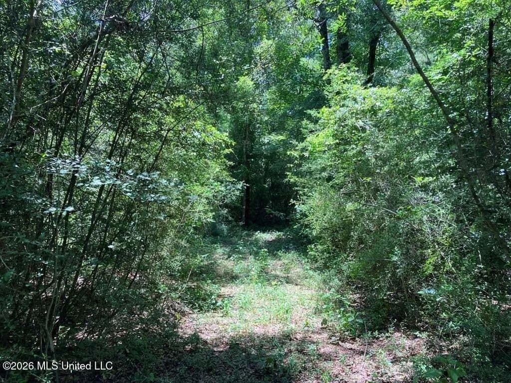 5.68 acres near Tylertown, Mississippi - land for sale
