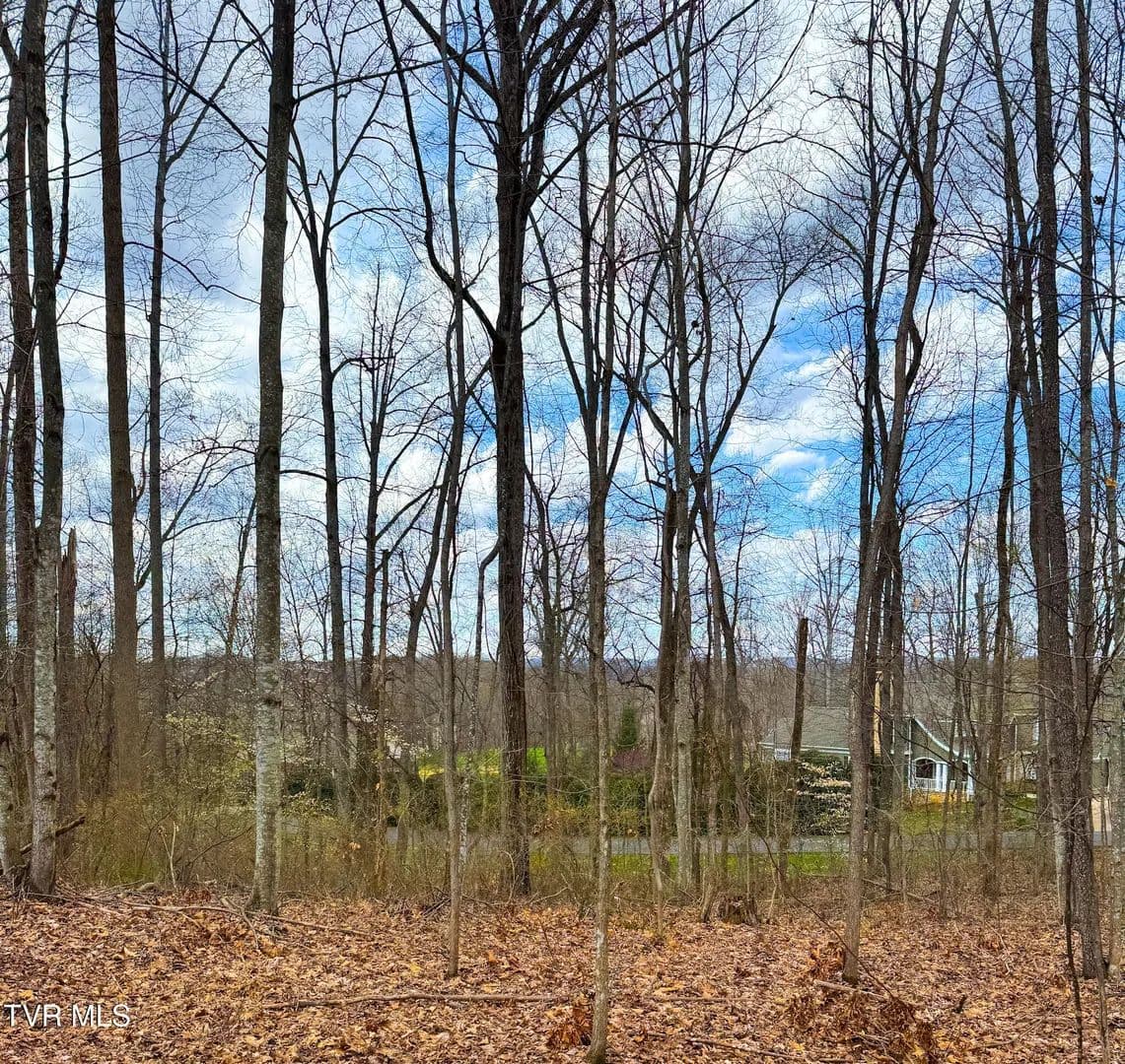 Property from Lot 22 Stonewall Ridge - KW - Bristol, Virginia, 24202