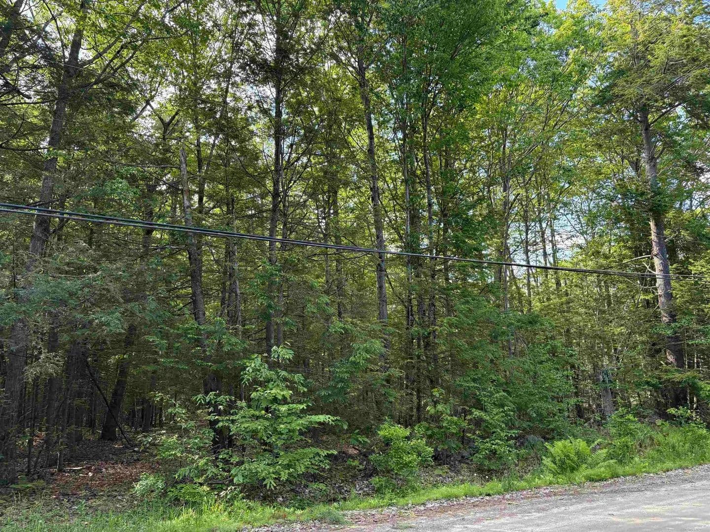 Property from Lot 85 Currier Road - KW - Candia, New Hampshire, 3034
