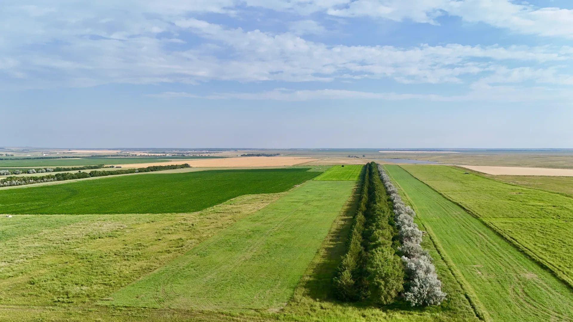 Shelterbelt 40 - Pierre, South Dakota, 57501