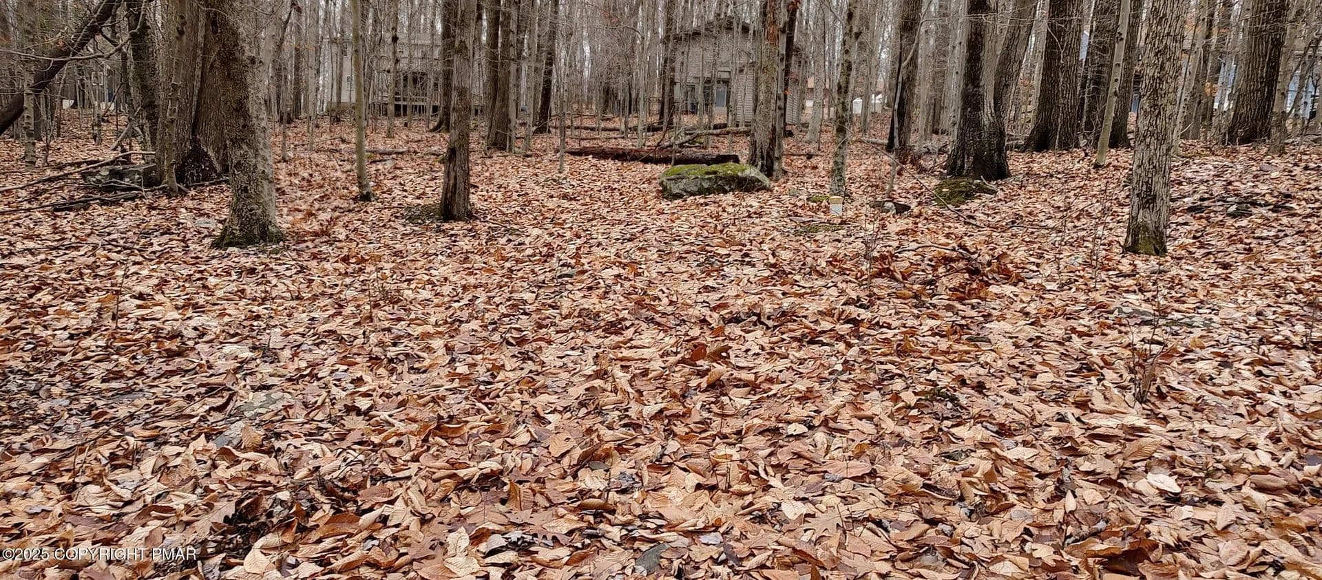 Lots & Land-Other in Pocono Lake - Pocono Lake, Pennsylvania, 18347