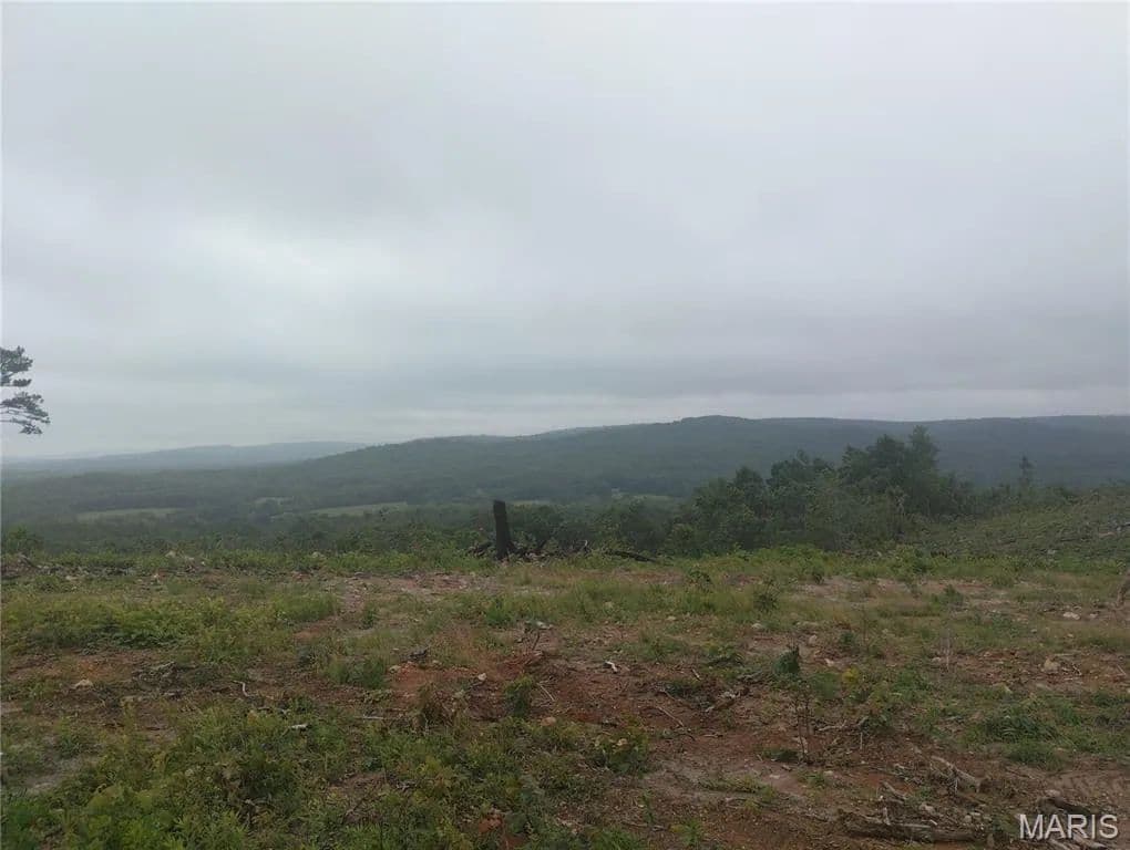 Property from 1 Tract 1 Off Hwy O - KW - Belleview, Missouri, 63623