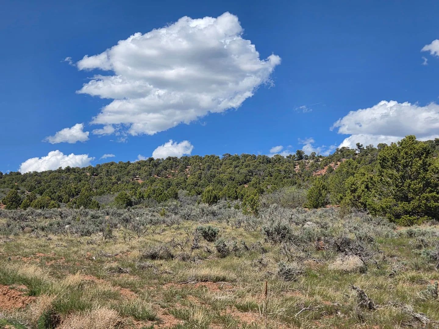 Property from #2 - KW - Fruitland, Utah, 84027