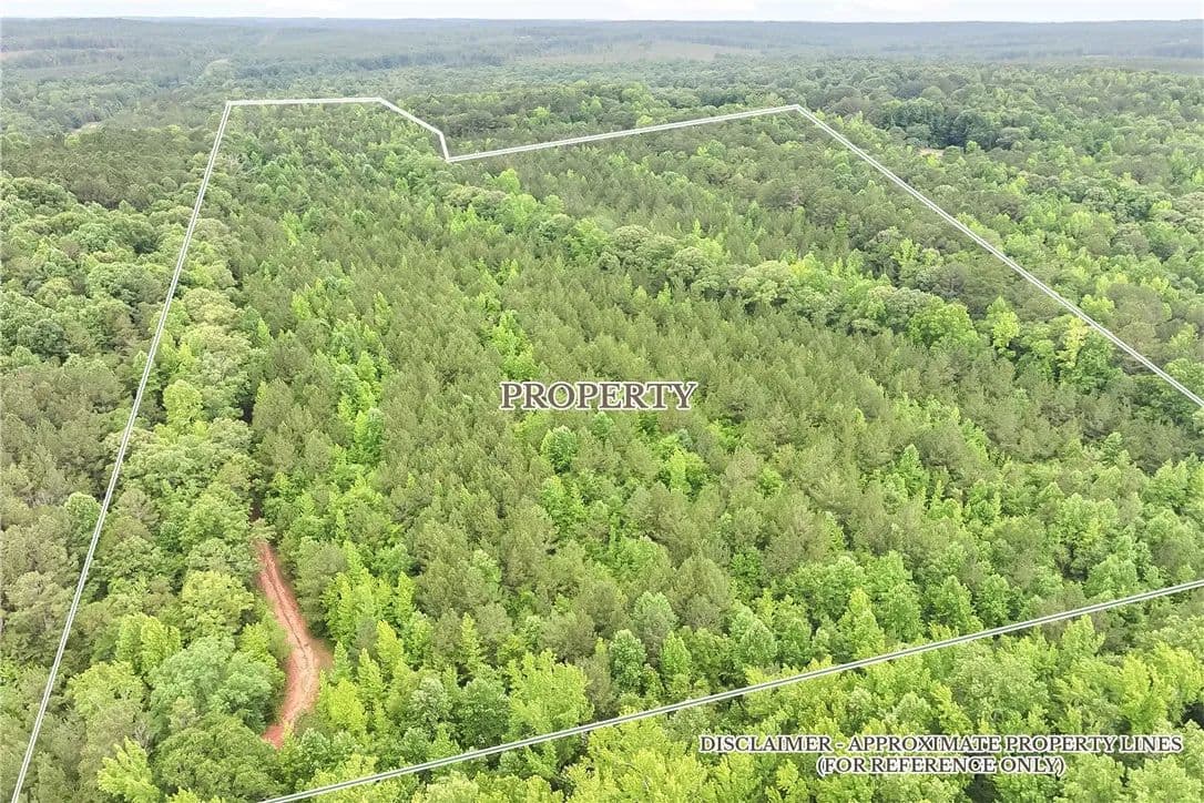 43.86 Acres of Land for Sale in Camp Hill, Alabama - Camp Hill, Alabama, 36879