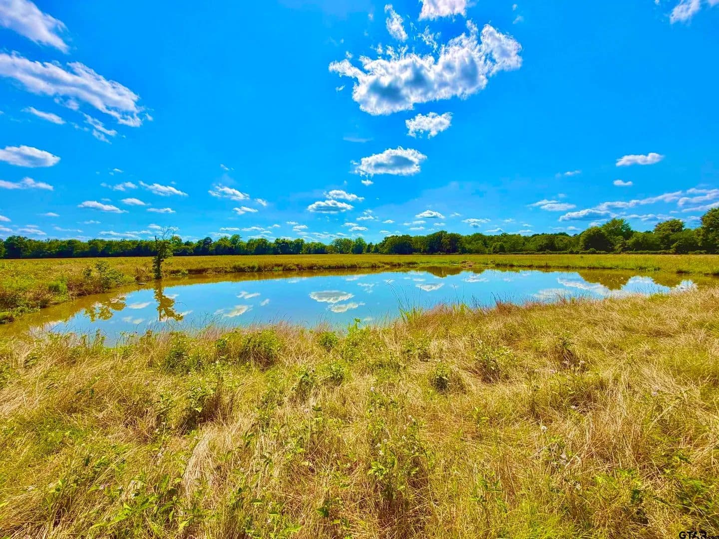 Property from TBD Cooper Settlement Road #TBD Cooper Settlement Road - KW - Crockett, Texas, 75835