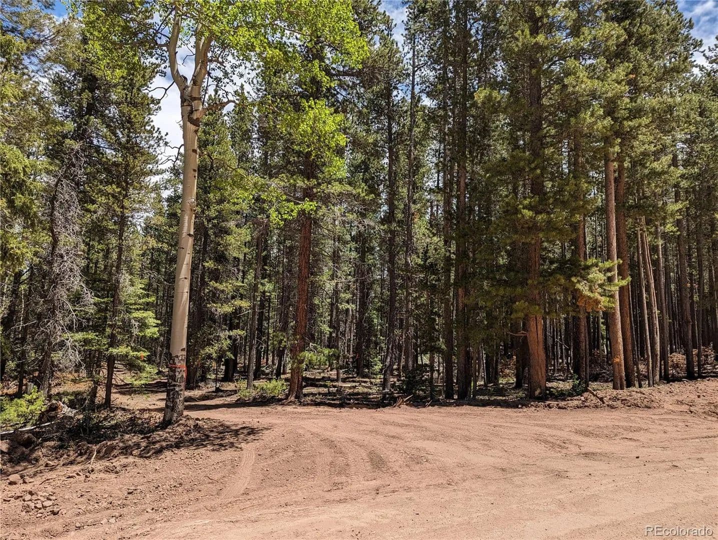 1.3 Acres of Land for Sale in Fort Garland, Colorado - Fort Garland, Colorado, 81133