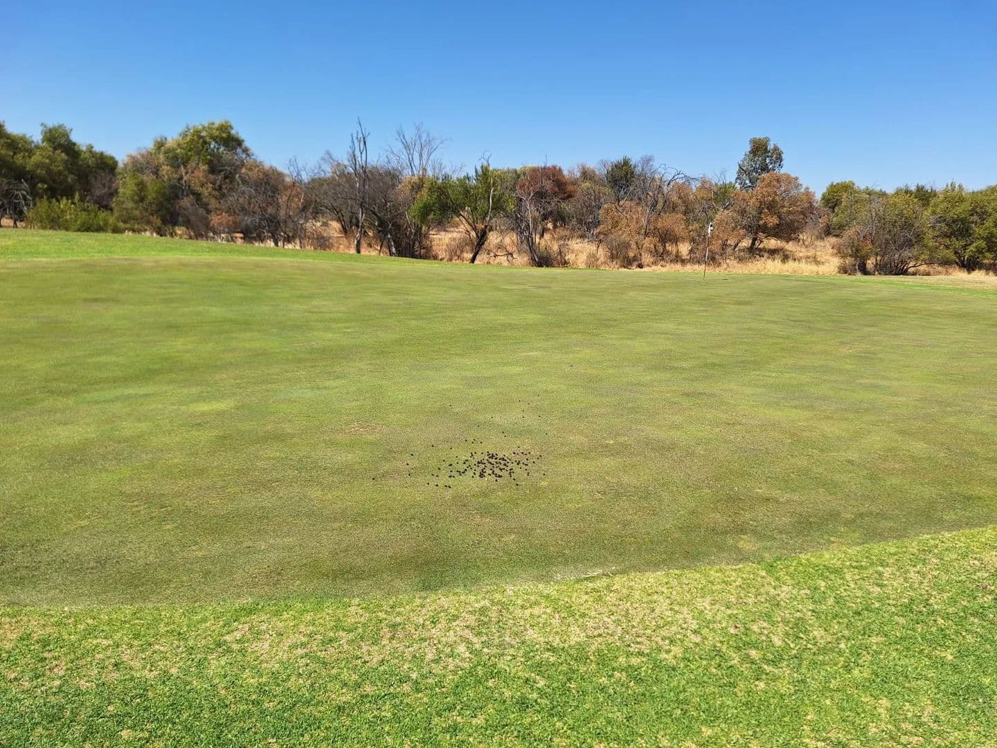 1350 Acres of Land for Sale in Modimolle, Limpopo - land for sale