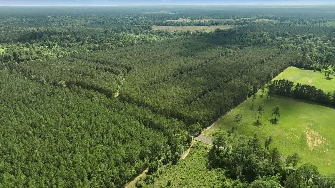 Land -Agricultural (Not Zoned) in Dry Creek - Dry Creek, Louisiana, 70637