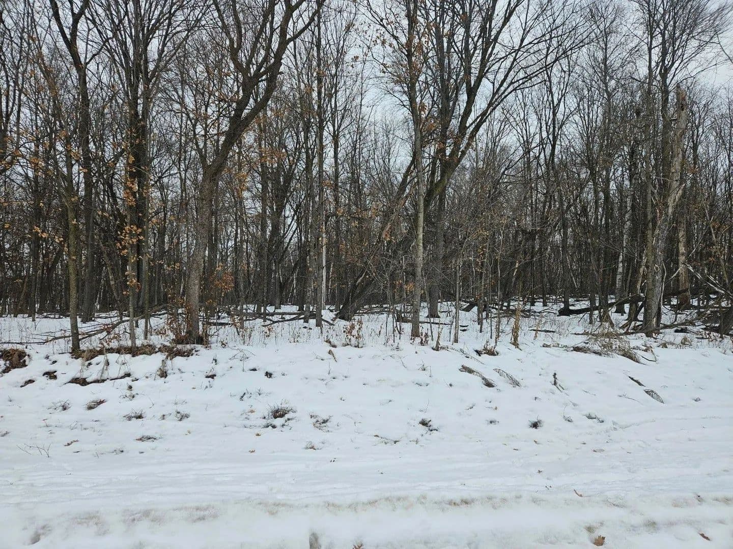 Lots & Land-Other in Saint Stephen - land for sale