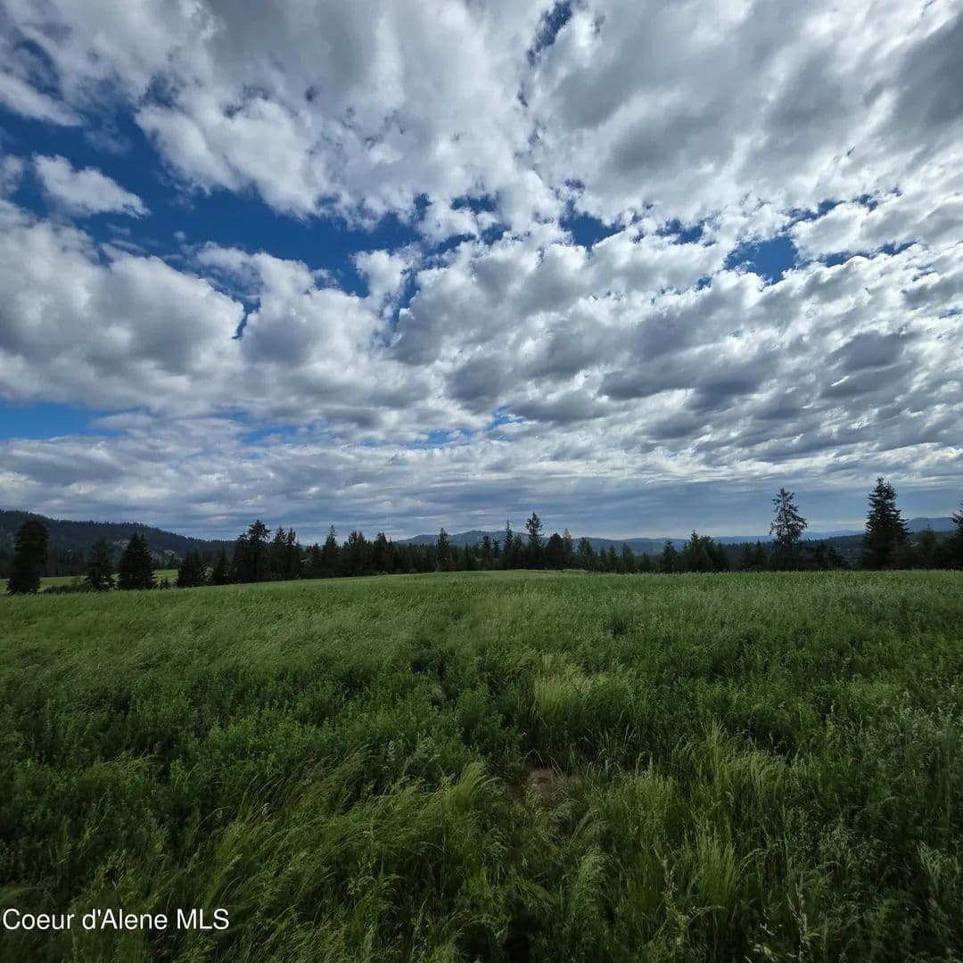 19.84 Acres of Land for Sale in Harrison, ID - Harrison, Idaho, 83833