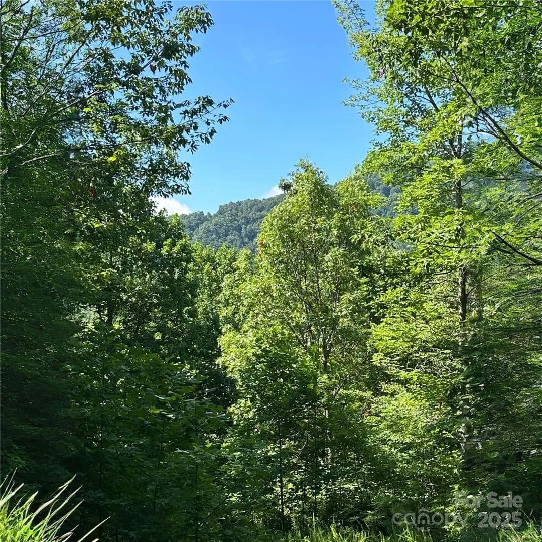 Lots & Land-Other in Black Mountain - Black Mountain, North Carolina, 28711