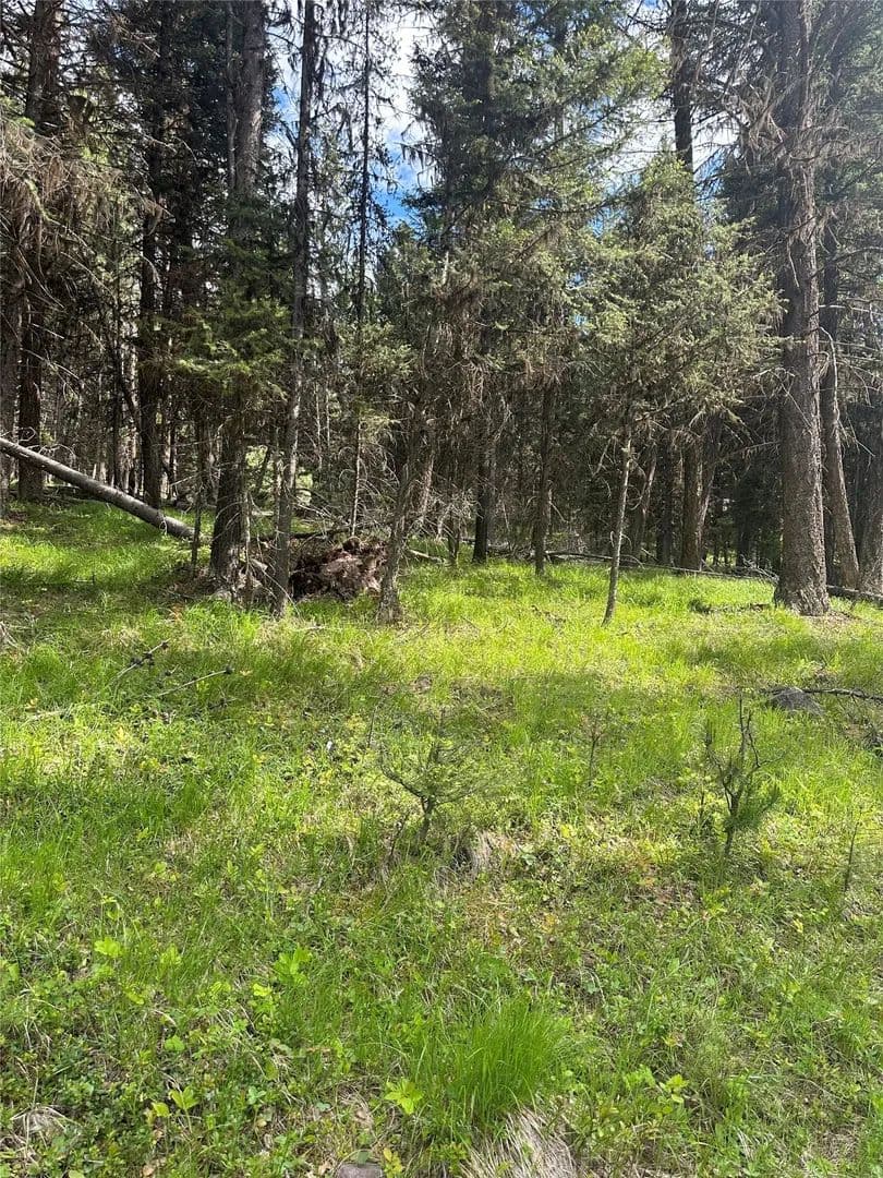 Property from 1274 Grandview Drive - KW - Seeley Lake, Montana, 59868