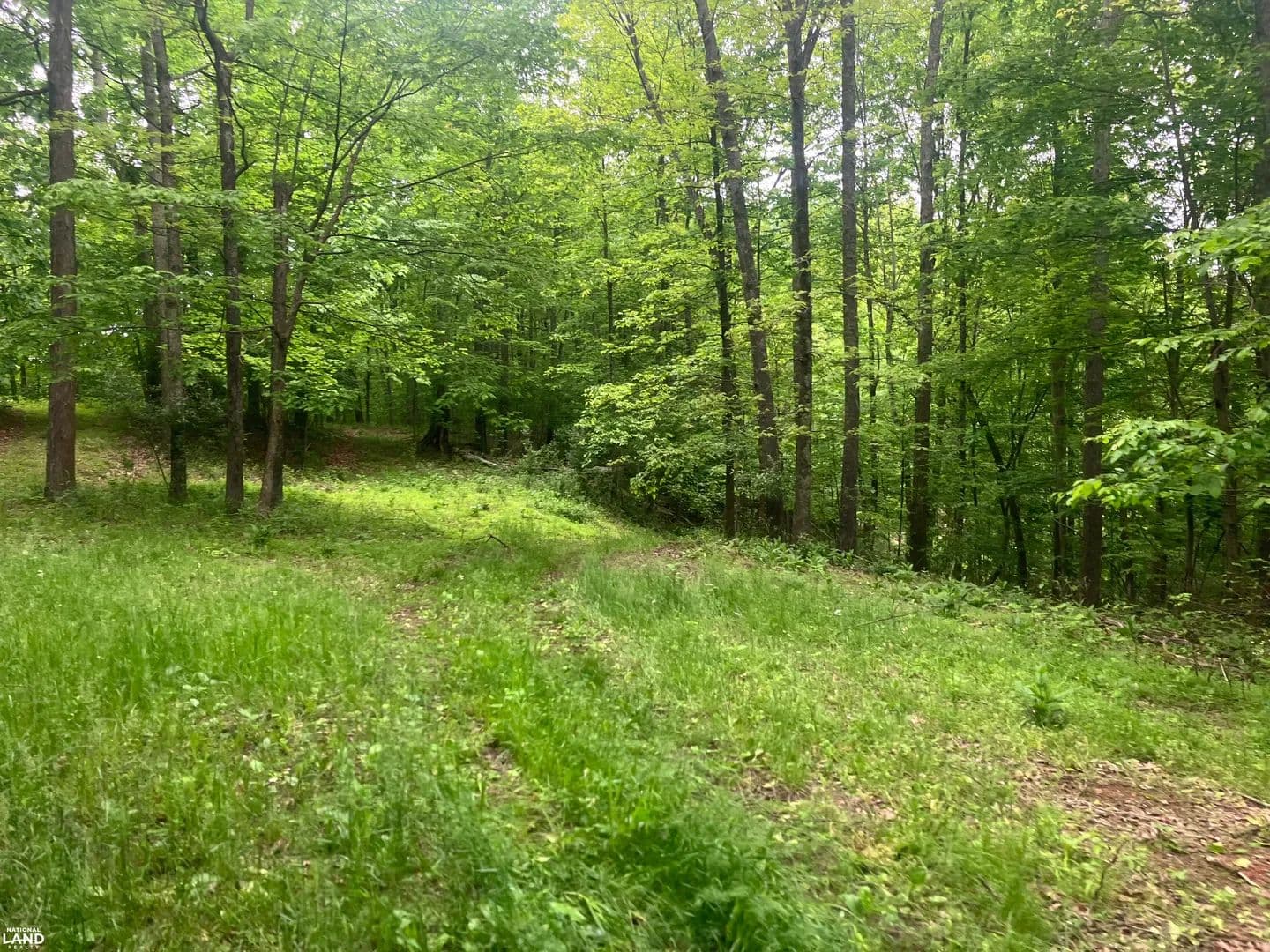 Little Trace Run-A Sportsman and Nature Enthusiasts Paradise - Exchange, West Virginia, 26619