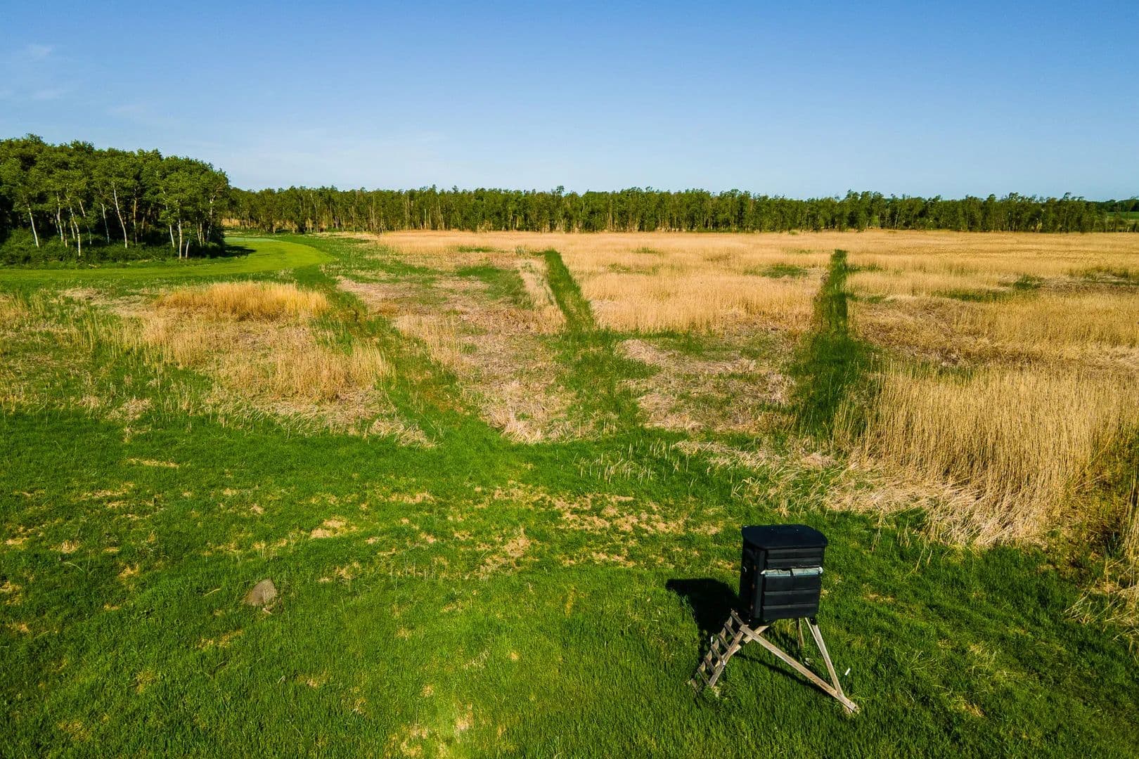 529 Acres of Land for Sale in Lamartine, Wisconsin - Lamartine, Wisconsin, 54932