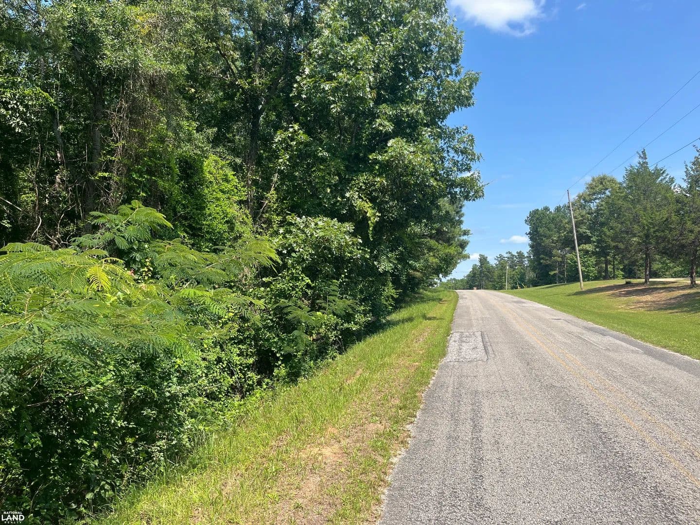 Guin Hunting Homesite and Timber Investment - Guin, Alabama, 35563