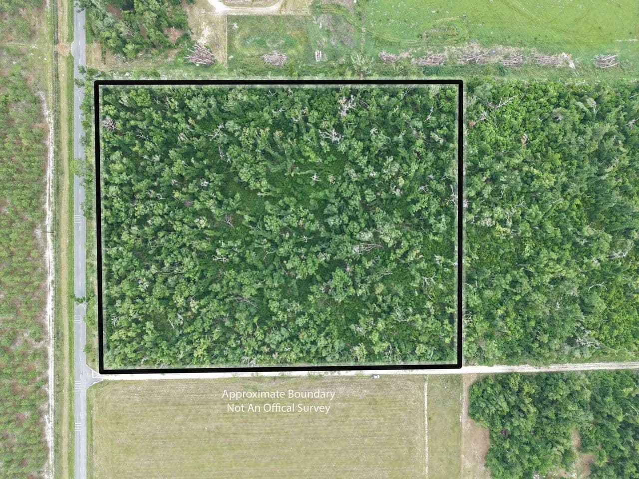 Wright Lot 1 - Mayo, Florida, 32066