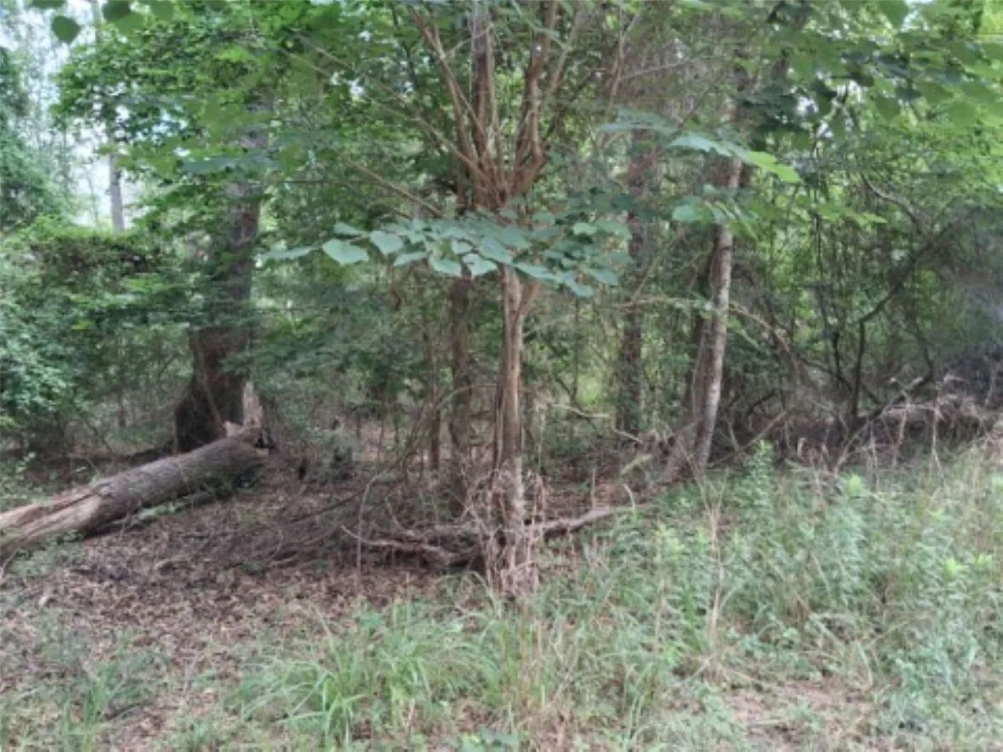 0.88 Acres of Land for Sale in Murchison, TX - Murchison, Texas, 75778
