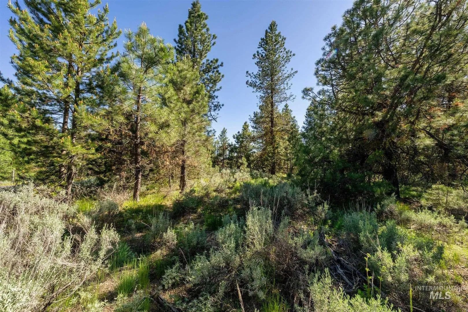 Lots & Land-Other in McCall - Mccall, Idaho, 83638